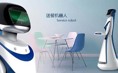 肌理細膩骨肉勻—美女機器人來了